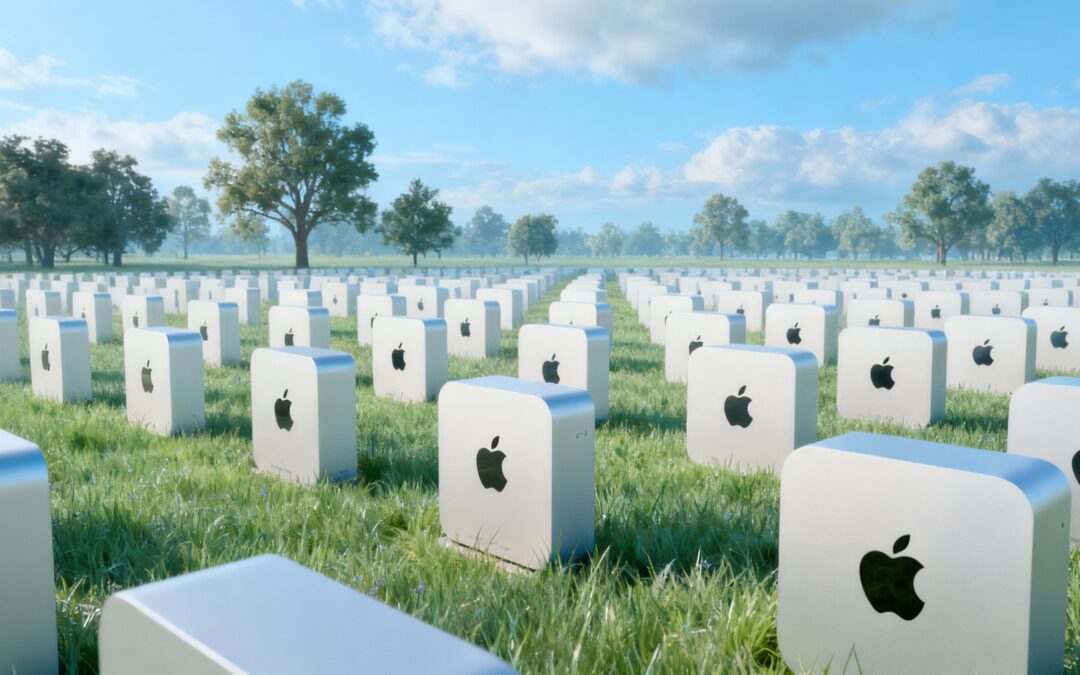 Eine defekte Time Capsule und das Ergebnis